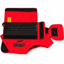 Charger l'image dans la galerie, Gilet de protection pour chien TAYAUT T80