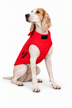 Charger l'image dans la galerie, Gilet de protection pour chien TAYAUT T85
