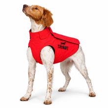 Charger l'image dans la galerie, Gilet de protection pour chien TAYAUT T65
