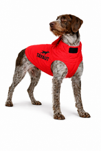 Charger l'image dans la galerie, Gilet de protection pour chien TAYAUT T70
